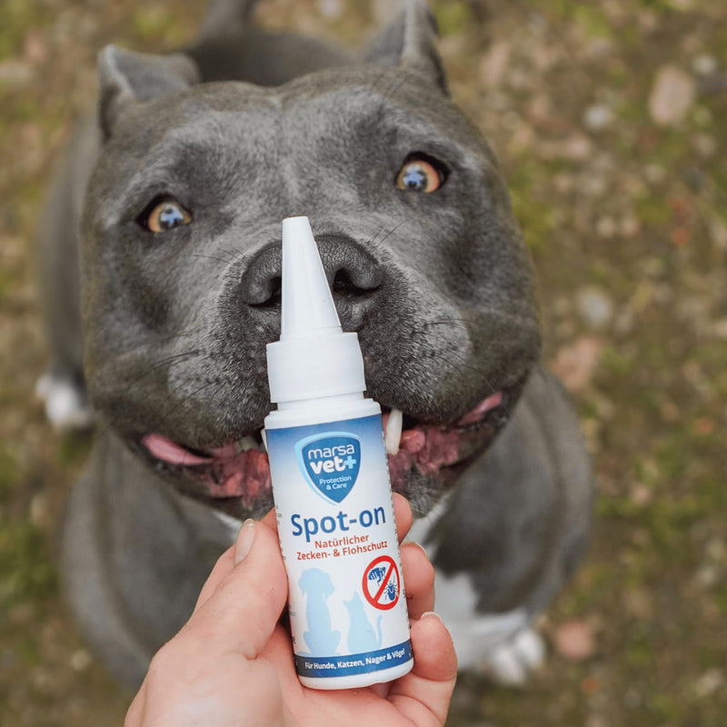Marsavet Spot-on Natural Tick and Flea Protection for Pets 50ml, flea and tick repellent for cats and dogs, birds and rodents, for all ages and breeds - BeesActive Australia