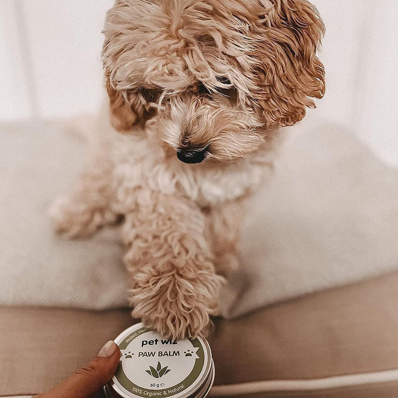 pet wiz Paw & Nose Balm for Dogs & Cats - Organic & Natural Ingredients - Organic Paw and Nose Balm for Dogs and Cats - Coconut Oil, Shea Butter, Vitamin E & Aloe (60g ℮)