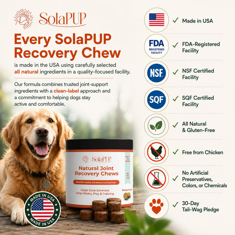 SolaPup® Hip & Joint Chews for Dogs | 120 Soft Mobility & Recovery Chews for Active Dogs | Glucosamine, Chondroitin, Turmeric & Green Lipped Mussel | Bacon Flavor | Made in USA | Gluten & Chicken Free