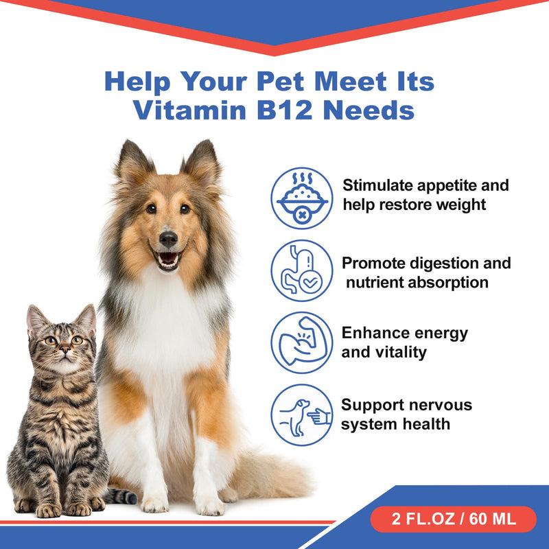 Appetite Stimulant for Dogs - Vitamin B12 Liquid (Methylcobalamin) - Boosts Appetite, Energy, and Blood - 60 ml