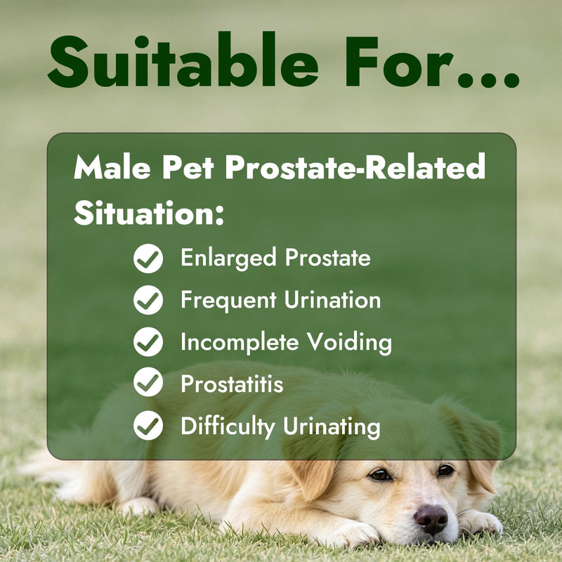 Prostate Urinary Support Drops for Dogs, Saw Palmetto Pumpkin Seed Extract | for Male & Female Dogs & Cats, Supports Bladder & Urinary Comfort, Coat & Hormone Support, Eases Incontinence & Straining