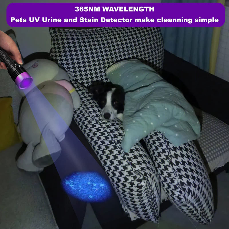 365nm Uv Flashlight,Black Light Flashlight Rechargeable Powerful,Pet Urine Detector Light for Dog Cat,Rock Hunting,Resin Curing,Looking for a Scorpion...(Batteries are Included) - BeesActive Australia