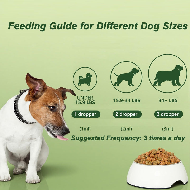 Dog Antibiotics for Infections, Cough, & Itching | Natural Antibiotics for Dogs for All Ages to Promote Wound Healing | Dog UTI Treatment and Tooth Infection Treatment | Chicken Flavor | 2 Oz