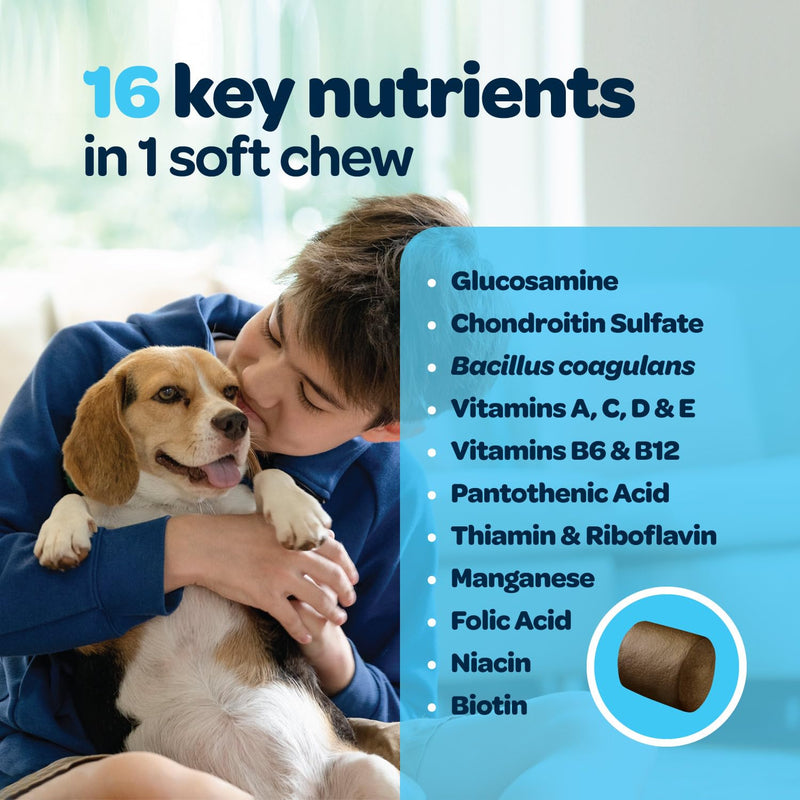 12-in-1 Complete Multivitamin for Dogs | Dog Multivitamin Chewable with Glucosamine Chondroitin & Digestive Probiotics for Dogs of All Ages and Sizes | NASC Certified & Made in The USA | 60 Chews 60 Count