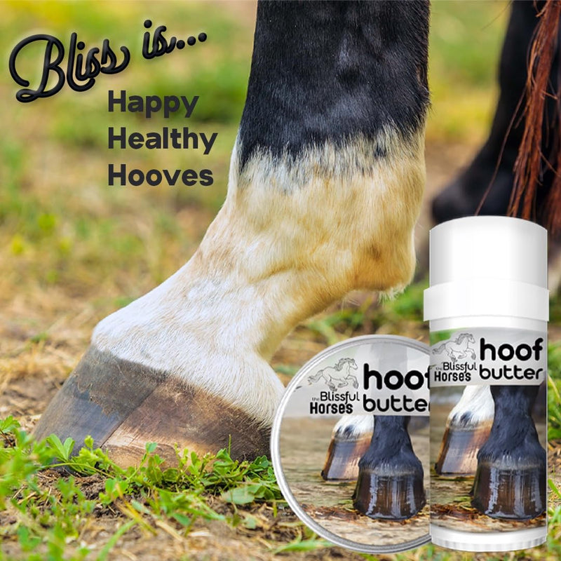 The Blissful Horses Hoof Butter All Natural Support for Your Horse's Hooves, 4-Ounce - BeesActive Australia