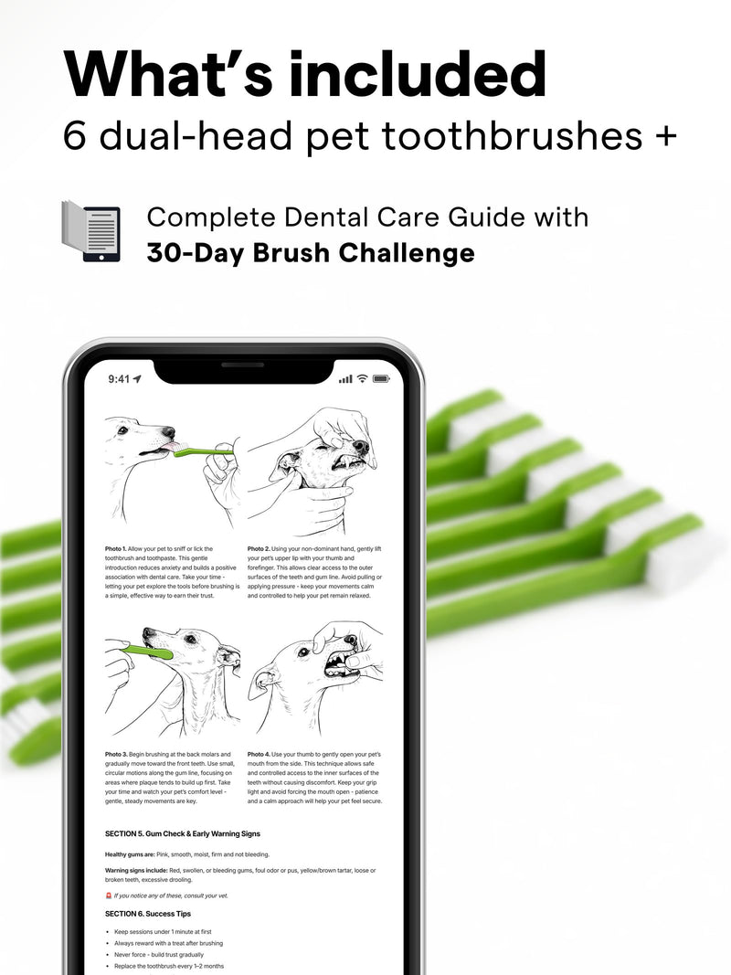 Pet Grooming Tool Bundle Set: Pet Nail Clippers [Tool #5] + Pet Toothbrush Set [Tool #2] - BeesActive Australia