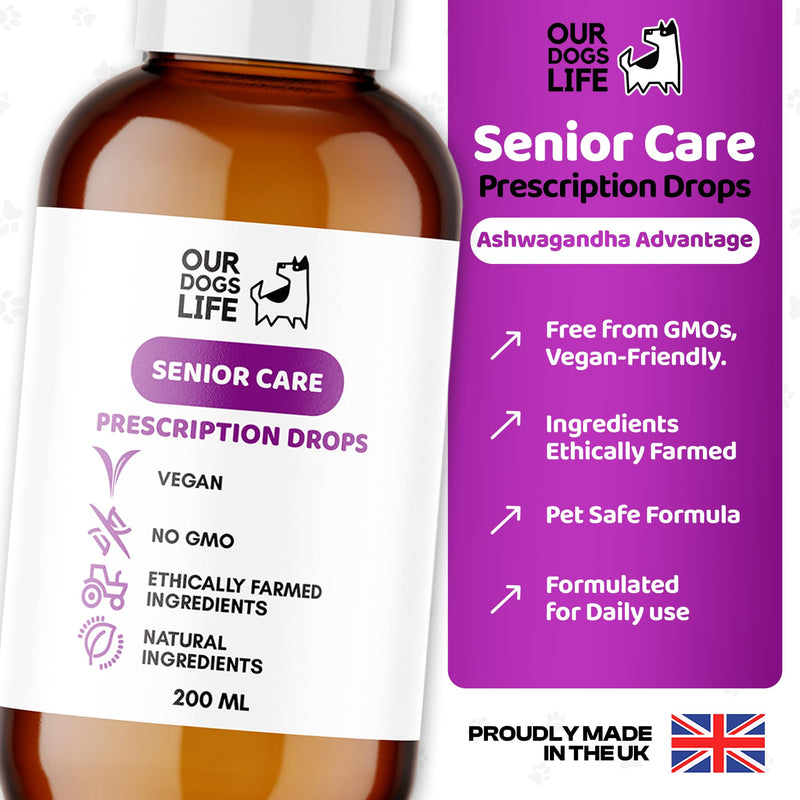 Liquid Supplement for Aging Dogs - Comprehensive Joint & Cognitive Support - Hip & Joint Care Supplements - Non-GMO & Vegan-Friendly-200ml