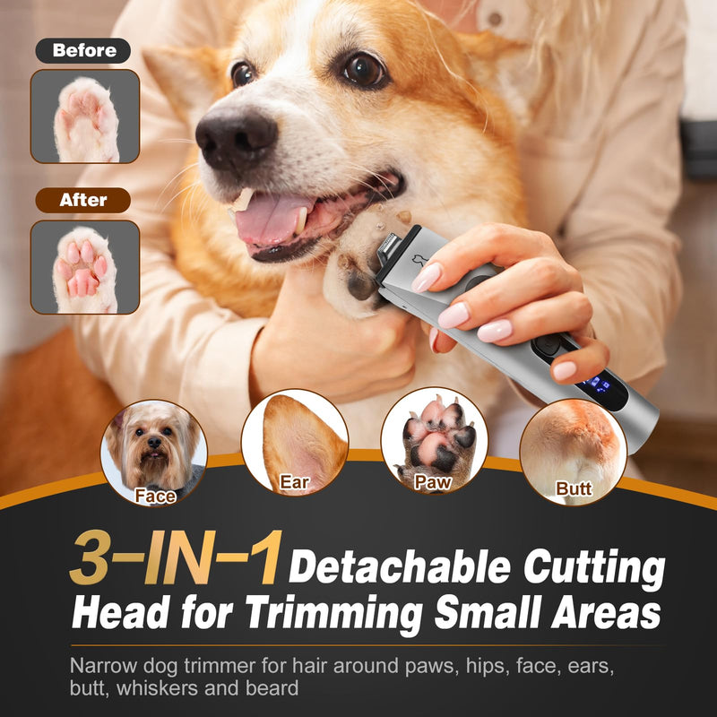 3 in 1 Low Noise Dog Clippers for Grooming, Adjustable Dog Grooming Kit for Thick Hair, IPX7 Waterproof Pet Grooming Supplies with Paw Trimmer and Scissors, for Large & Small Dog Sliver - BeesActive Australia