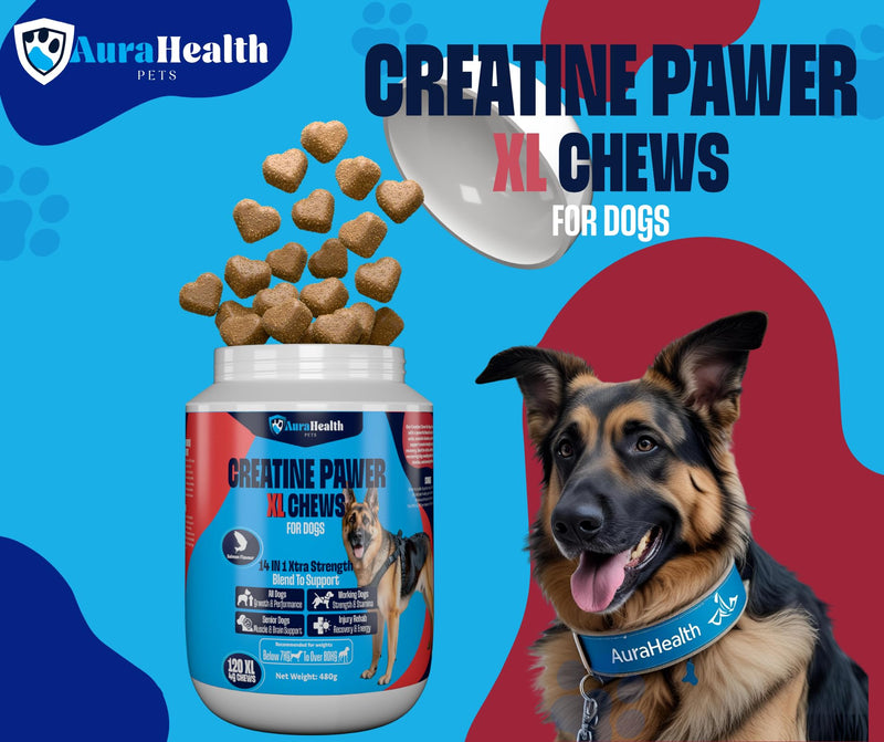 CREATINE PAWER 120 XL Chews up to 4-month supply for Working, Senior, & Injured Dogs 14-in-1 XtraStrength: Creatine, L-Carnitine & Taurine. Muscles, Performance, Energy & Recovery, Salmon Flavour