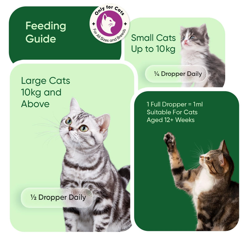 Hemp Oil for Cats 60ml - Pure, Natural & Cold-Pressed - Cat Calming Products for Loud Noises, Car Rides & Home Alone - Rich in Omega 3, 6 & 9 - Cat Calmer for Skin, Coat, Bones & Joints