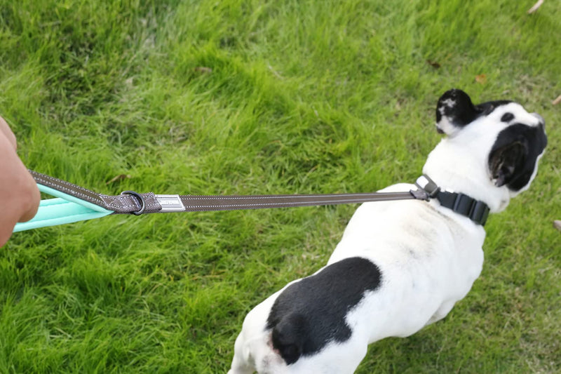 VIVAGLORY Dog Leash, Dog Training Leash with Comfortable Neoprene Padded Handle, Heavy Duty Walking Leash for Small & Medium Dogs 3 ft. x 1/2 in. (0~25 lbs.) Grey - BeesActive Australia