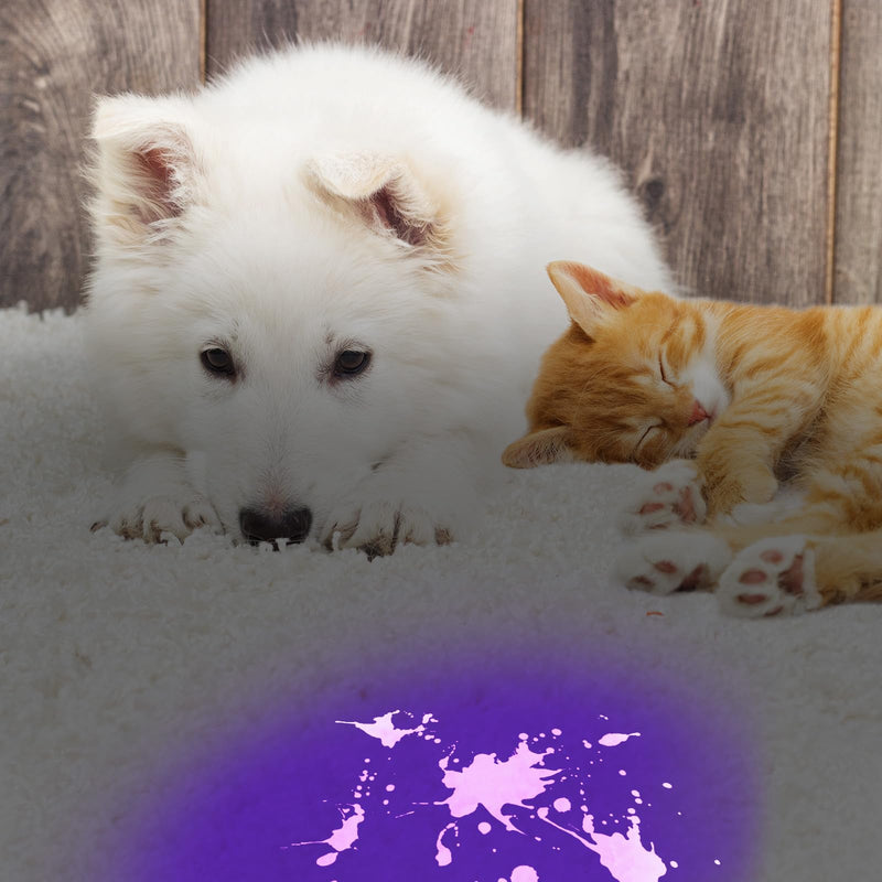 COSOOS Black Light UV Flashlight, 21 LED Handheld UV Light, 395nm Mini Blacklight Flashlight, Portable Pet Urine Detector for Dog Cat Urine Stains, Bed Bugs, Scorpion, Resin Curing, Nails. - BeesActive Australia