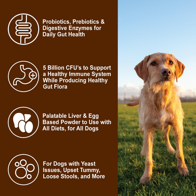 Dogzymes Probiotic Daily Balance - Supplies Nutritional Support and Live microorganisms for intestinal Well-Being as Well as enzymes for Proper Digestion. (8 Ounce) 8 Ounce