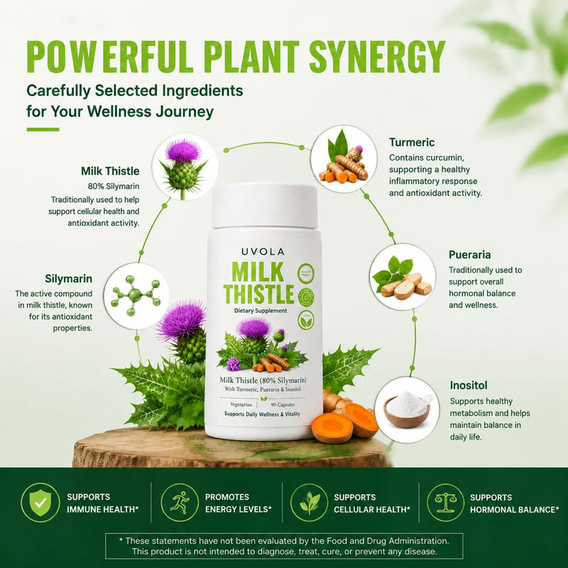 Uvola Milk Thistle Supplement, 80% Silymarin Liver Support Formula, Inositol, Vitamin C, Turmeric, Wormwood, Clove, Dandelion, 8-Ingredient Blend, Gut Health,90 Capsules