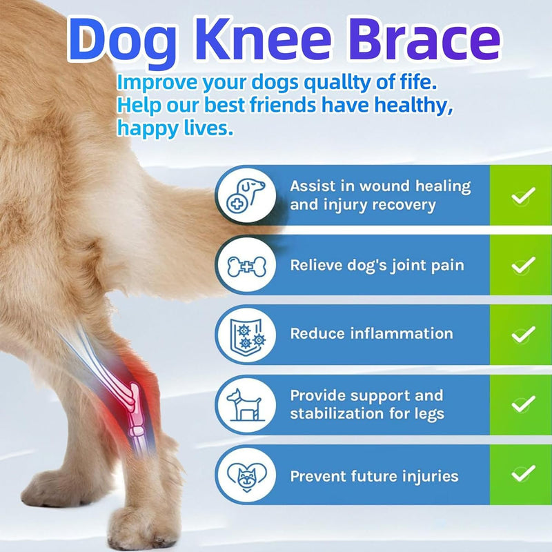 Dog Knee Brace for Torn Acl and Ccl Injuries, Adjustable Dog Acl Brace Hind Leg Support with Metal Stabilizers, Knee Brace for Dogs Back Leg Helps with Joint Pain, Surgery Recovery (M) M