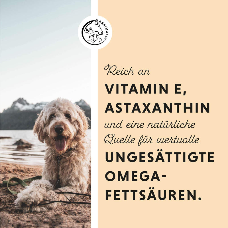 Annimally salmon oil for dogs 1 liter rich in Omega 3 & 6 fatty acids (more than 32%) - Barf fish oil suitable for dogs, cats and horses I Pure natural product cold-pressed from Germany - BeesActive Australia