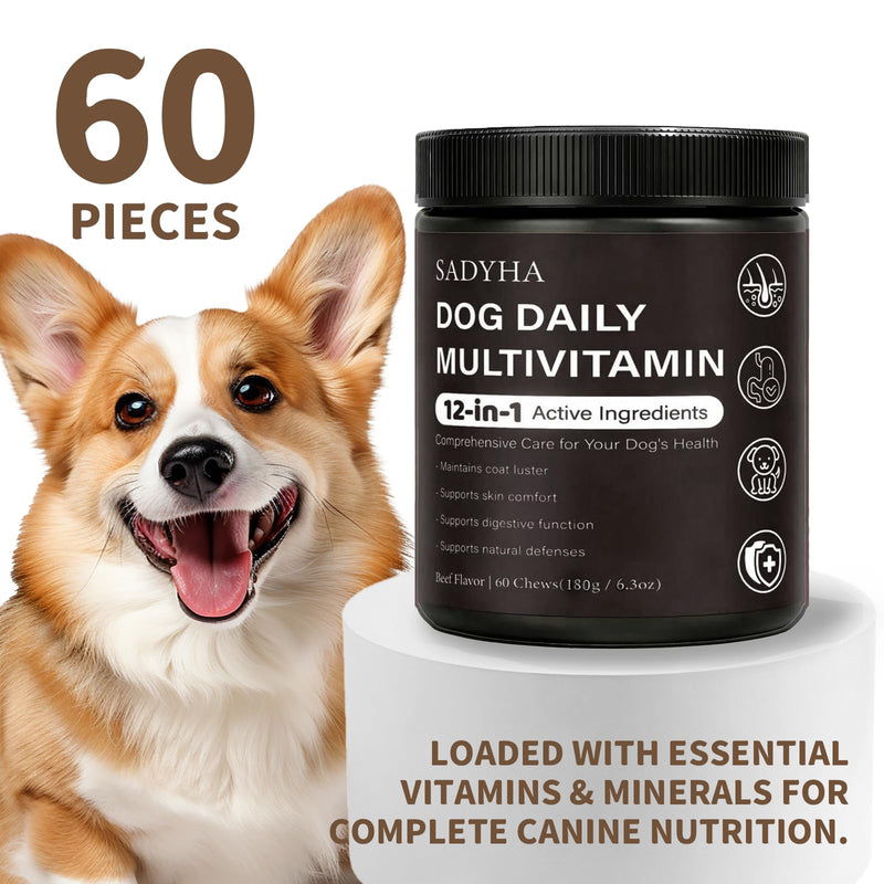 Daily Multivitamin Chews for Dogs, Itch & Skin Support with Salmon Oil, Folic Acid & Chondroitin, Supports Healthy Skin, Coat, Immunity & Digestion, 60 Count Beef Flavor (01) 1
