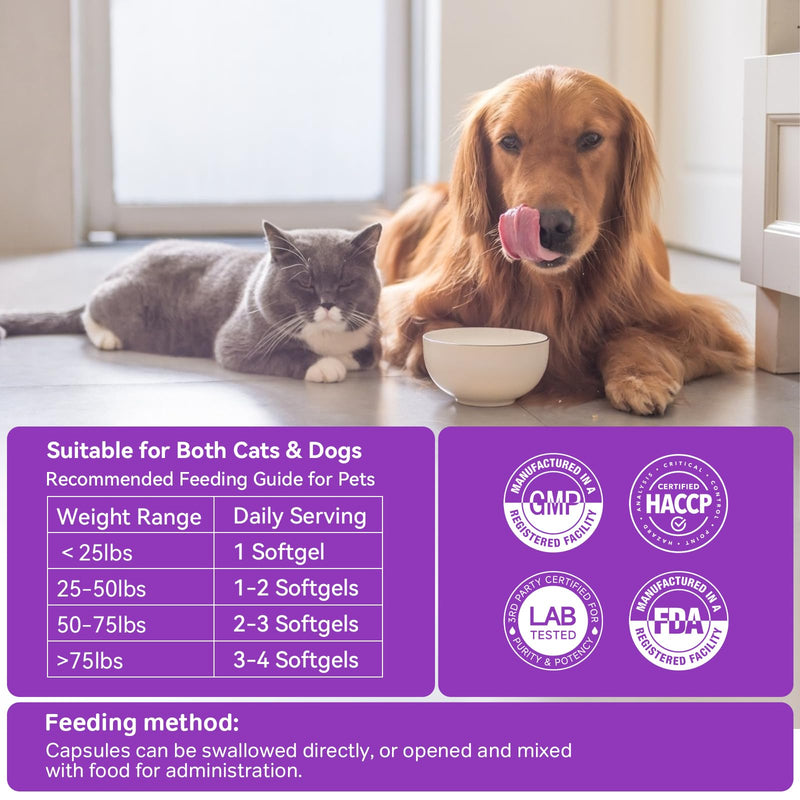 Probiotics for Dogs, 4 Digestive Enzymes & 11 Probiotics Blend, Supports Pet Gut Health, Itchy Skin & Yeast Issues Relief, Sensitive Stomach, Digestion & Immune System, 80 Capsules