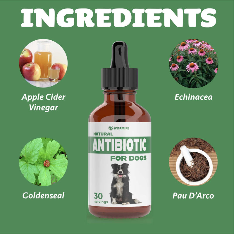 Natural Dog Antibiotics - Antibiotics for Dogs - Antibiotic for Dog - Yeast Infection Treatment for Dogs - Dog Yeast Infection Treatment - Itch Relief for Dogs - 1 fl oz - Bacon Flavor - PawsPlanet Australia
