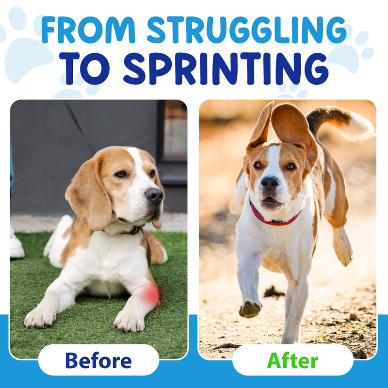 Joint Aid & Relief for Dogs, Dog Joint Aid Liquid Drops, Promote Healthy Joints, Reduce Inflammation, Restore Cartilage - 60 ml