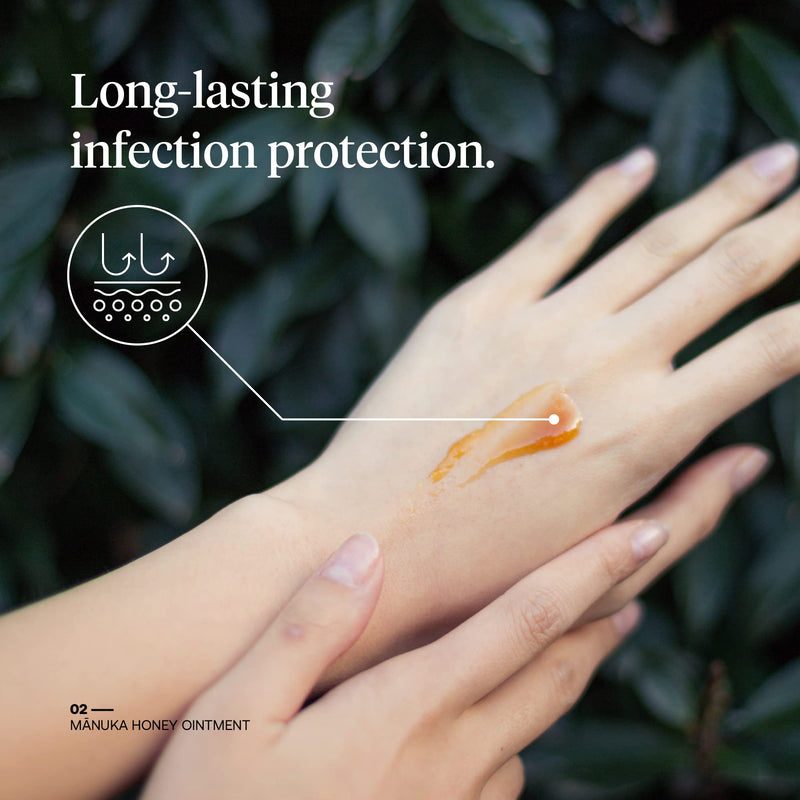 First Honey Wound Healing Ointment [ 1oz - 28.4g ] | 100% Active Leptospermum | Fast Relief & Skin Repair | Manuka Honey from New Zealand | Antibiotic Free Burn Care, Scar Gel, Dressing Aid 1 Ounce (Pack of 1) - BeesActive Australia