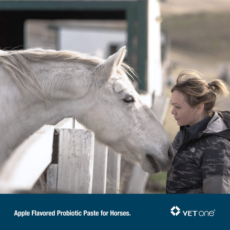 VetOne - Advita™ Apple Flavored Probiotic Paste for Horses | Horse Supplements | Improve Your Horse Digestion | 30g per Tube - BeesActive Australia