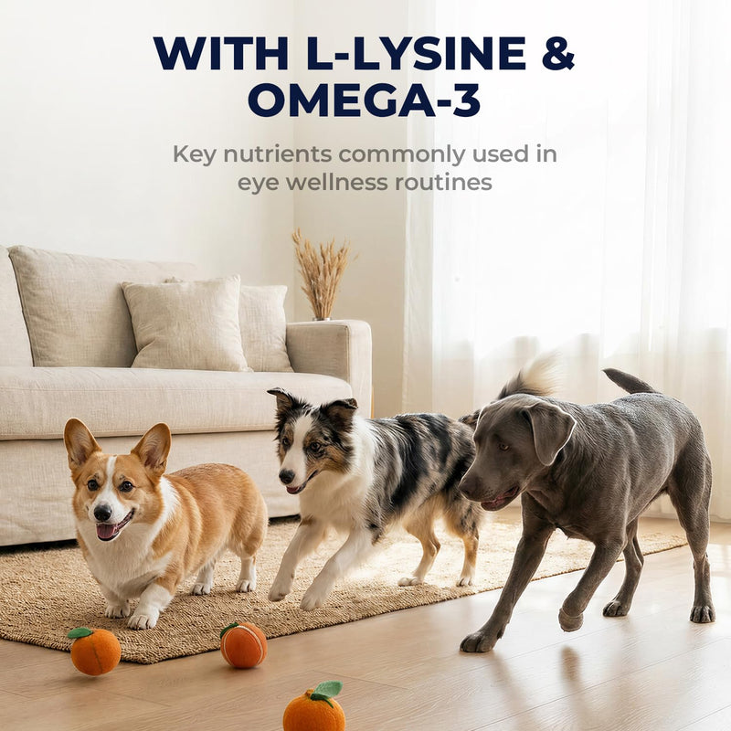 Dog Eye Infection Treatment & Eye Care Support Supplement for Dogs, Helps Soothe, Tear Stains, Discharge & Dry Eyes, with L-Lysine, Omega-3, 2 fl oz