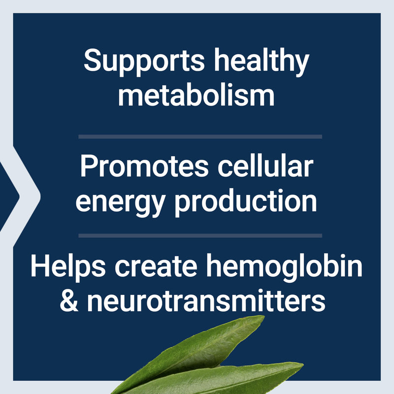 Life Extension Pantothenic Acid, 500 mg, Vitamin B5, Calcium, Support Healthy Metabolism, Mitochondrial Energy Production, Gluten-Free, Non-GMO, Vegetarian, 100 Capsules