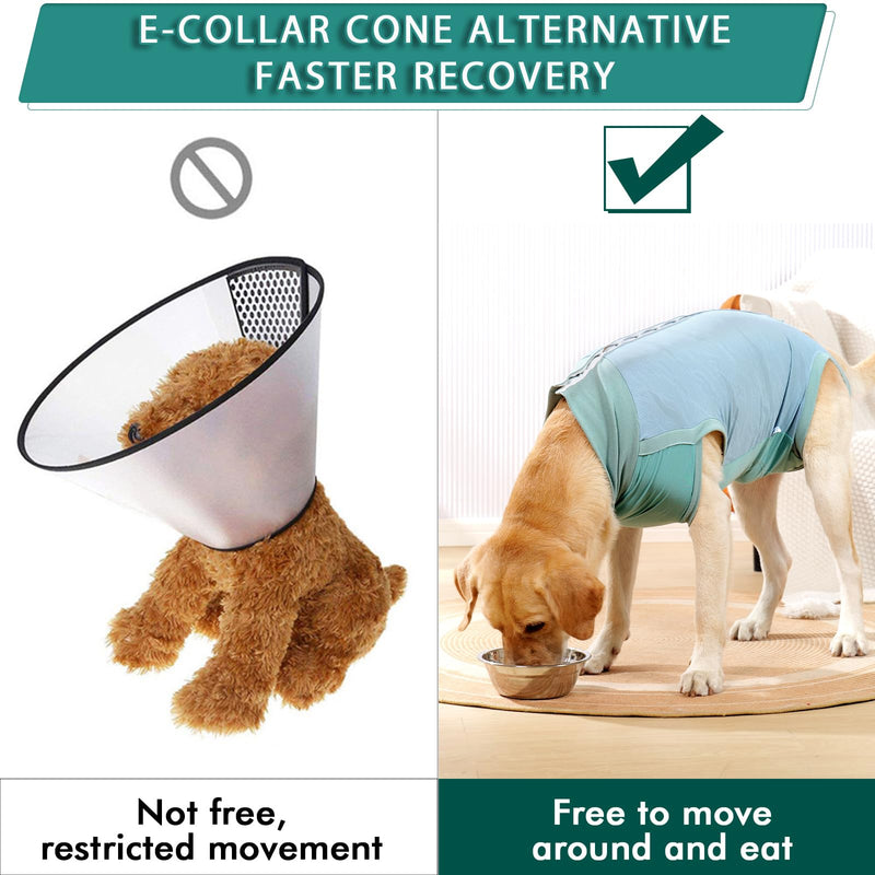 Dotoner dog bodysuit after surgery, castration wound protection suits for dogs, dog bodysuit after castration male dog, breathable bodysuit for dogs after surgery cat bodysuit, leak protection dog, anti-wound licking surgery bodysuit dog XL turquoise - BeesActive Australia