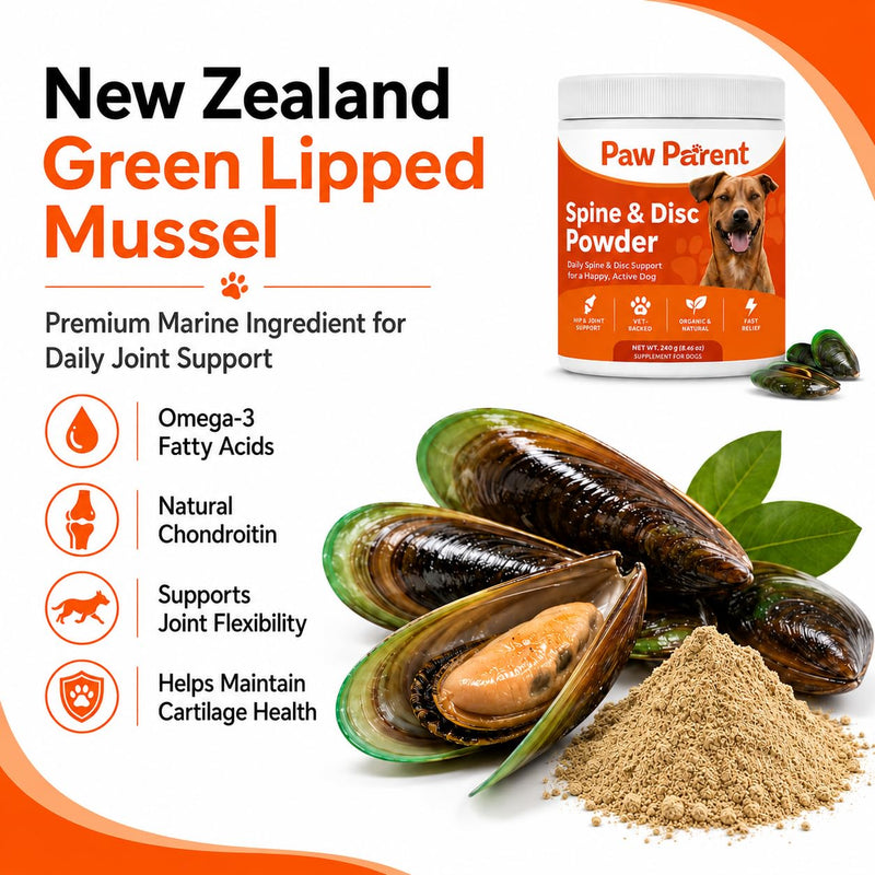 Green Lipped Mussel, Paw Parent Spine and Disc Powder, Secret Powder, Joint Mobility & Flexibility for Dogs Mobility, Improve Dog Cartilage & Bone Health (1 pcs) 1 pcs
