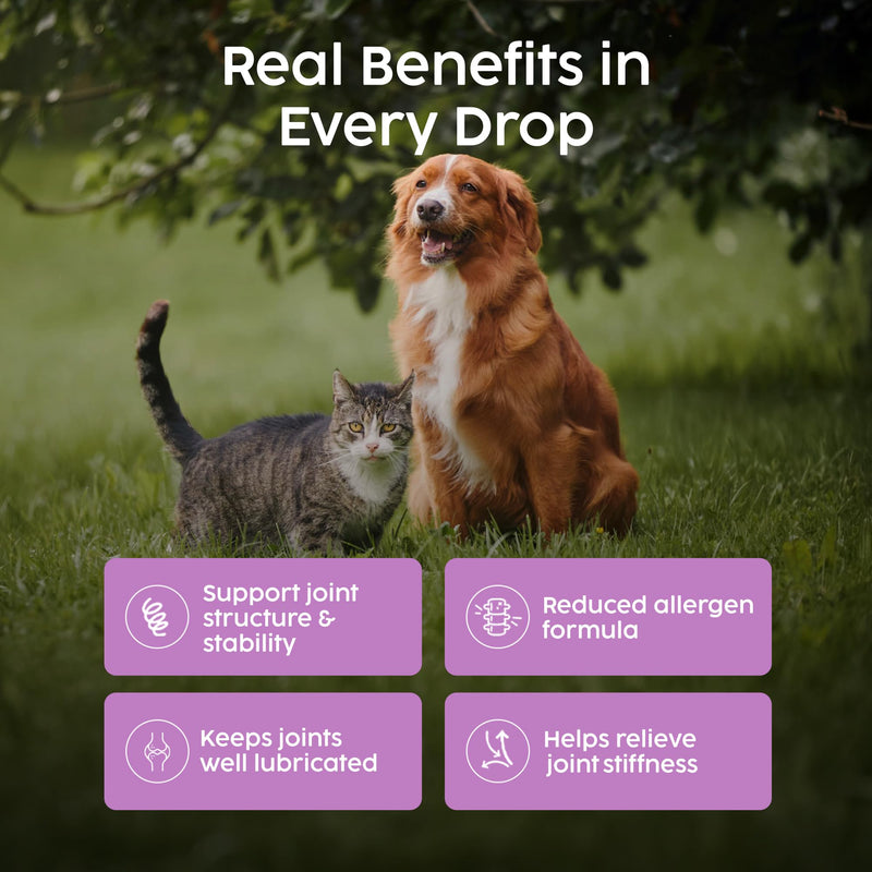 Joint Supplements for Dogs & Cats - 100% Natural Glucosamine for Dogs, Hip and Joint Care with Instant Pain Relief for Cats, Herbal Dog Supplements for Arthritis with Anti Inflammatory | 50ml