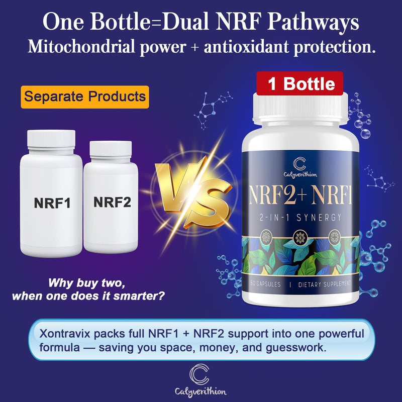 NRF1 & NRF2 Supplement 1500mg | Dual Pathway Antioxidant Formula with CoQ10, Curcumin, Trans-Resveratrol & Ashwagandha | Cellular Energy & Wellness Aging | 60 Capsules 60 Count (Pack of 1)