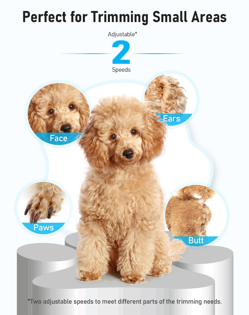 Dog Paw Trimmer with LED Light, Rechargeable Cordless Dog Clippers with Wider Blade for Grooming Pet's Paw Pad, Low Noise 2 Speed Electric Cat Hair Shaver for Small Areas - BeesActive Australia
