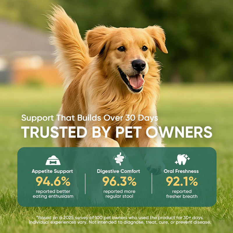 Probiotics for Dogs Gut Digestive Health Probiotic Chews for Dogs Digestive Enzymes Relieve Diarrhea Immunity Oral Problems Itching Constipation Prebiotics Dog Probiotics 200 Ct Chicken