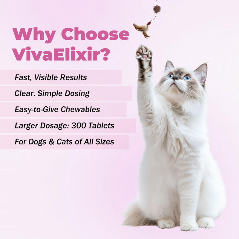 Probiotics for Dogs - Diarrhea Relief for Dogs and Cats - Supports Relief of Diarrhea and Loose Stools - Supports Digestive Balance and Gut Health - with Kaolin Clay and Probiotics - 300 Tablets