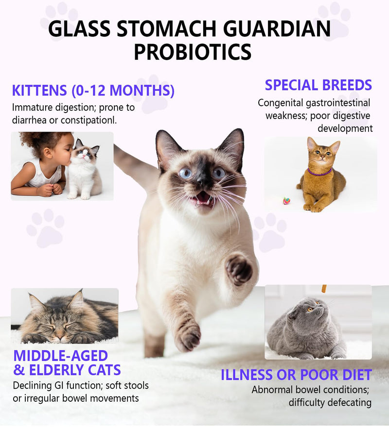 Cat Constipation Relief, Constipation Relief for Cat, Cat Laxative Constipation Relief, 100% Natural Cat Laxative with Probiotics Cat Stool Softener, Promotes Digestive Health - 2 fl oz Chicken