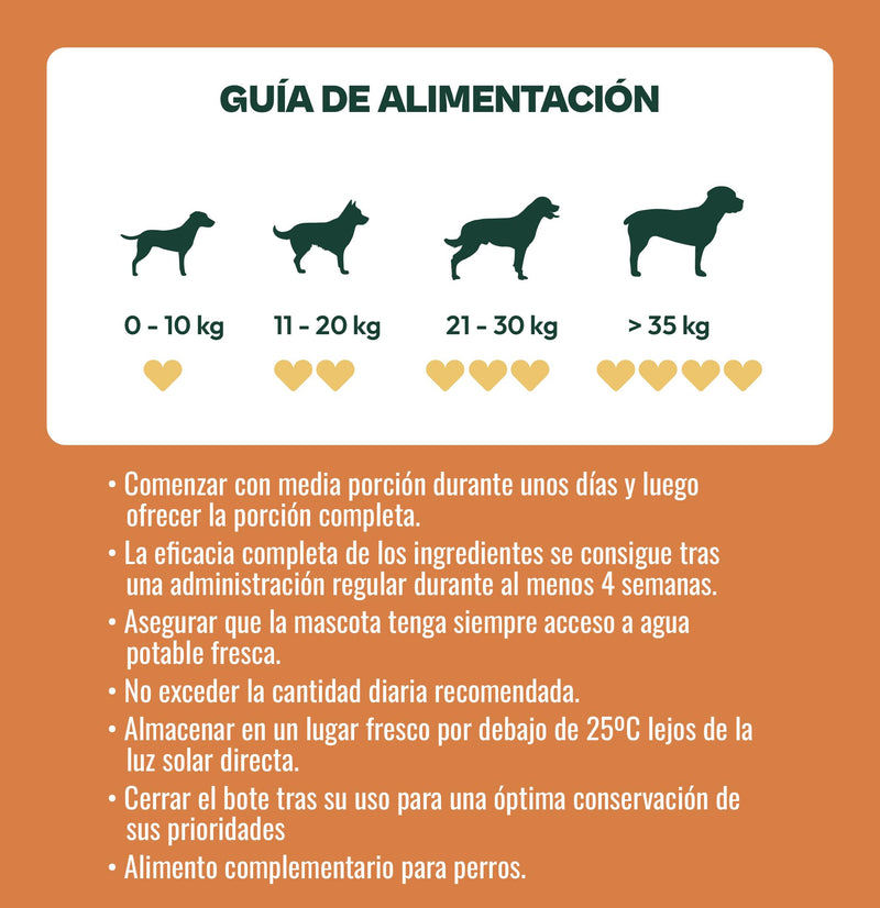 Gooddy Healthy Skin & Glowing Coat Supplement for Dogs, 100 Snacks, 300g - Improves Color and Healing, Minimizes Itching and Stinging with Biotin, Zinc, L-Tyrosine, Vitamins A and E, Flaxseed