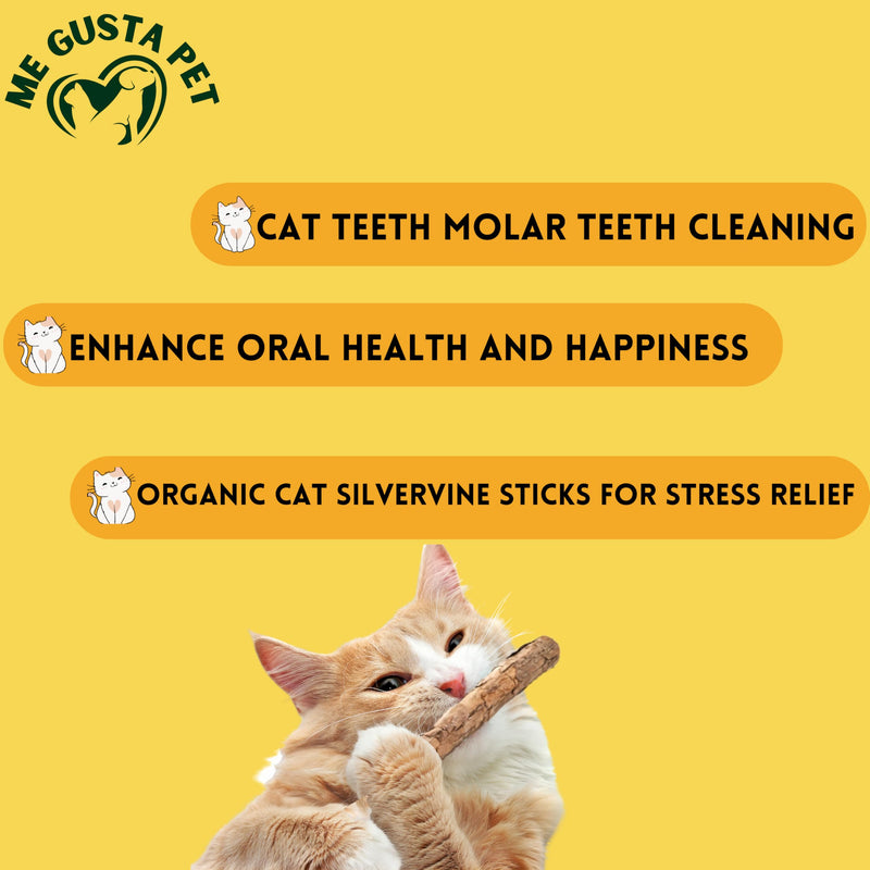 Cat Toys Silvervine Sticks for Cats | Matatabi Cat Chew Stick | Cat Toy Catnip Sticks Organic Cat Chew Toys | Wooden Stick Kitten Teething | Silvervine Sticks for Cat (Pack of 30) - BeesActive Australia