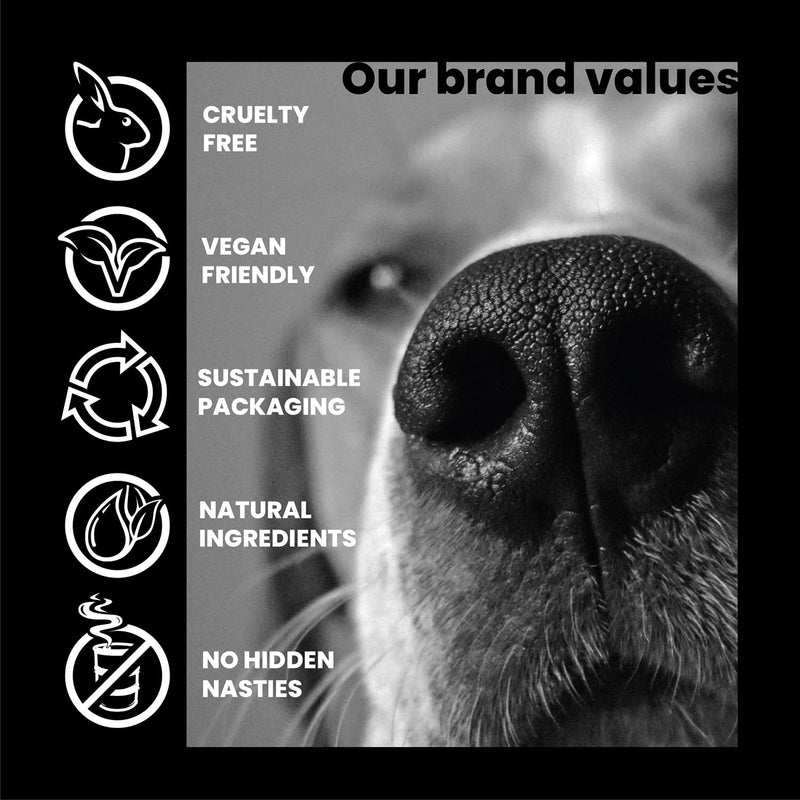 Calm Guru | Natural Anti-Anxiety Dog Calming Supplement Drops, 100ml | Calming Care for Hyperactivity, Noise Phobia, Dog Separation Anxiety, Fireworks | Valerian for Dogs