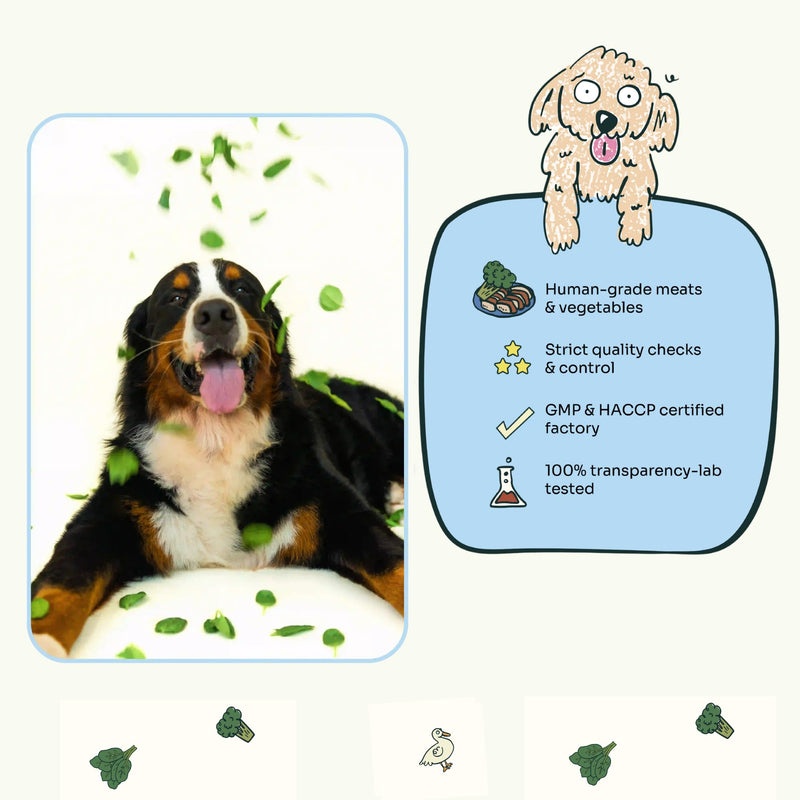 Notti Dental Chews for Medium to Large Breed Dogs – Plaque & Tartar Control Dental Stick, Teeth Cleaning Oral Care Treats, Fresh Breath & Healthy Gums – Duck, Spinach & Broccoli
