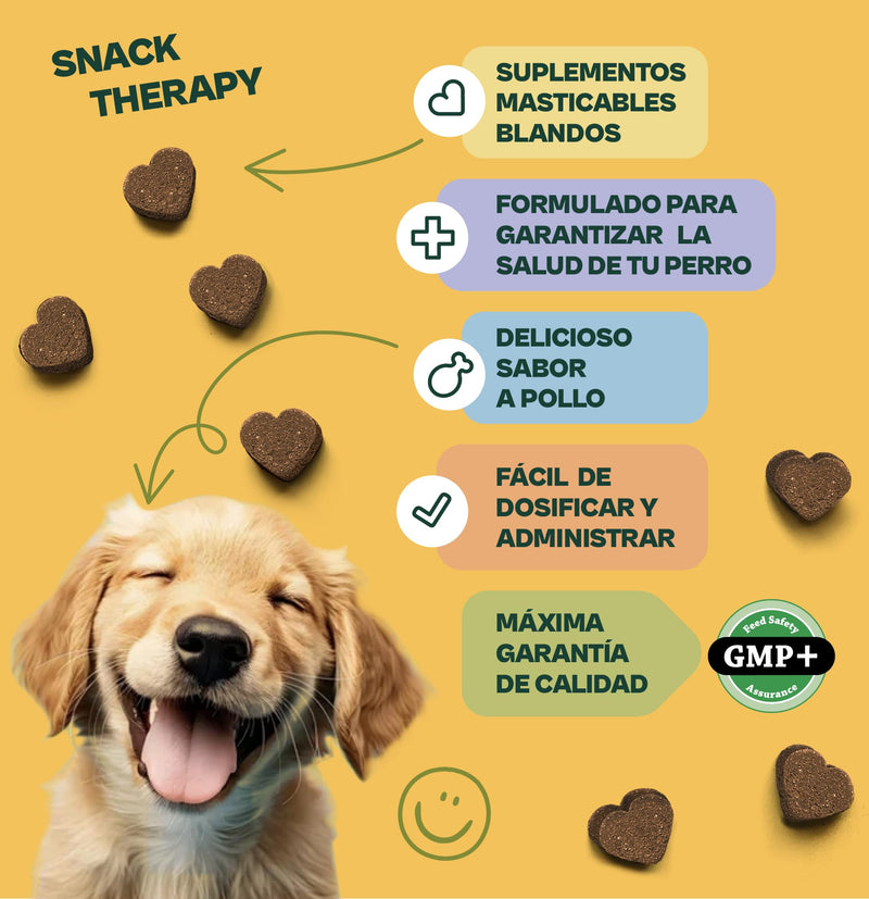 Gooddy Healthy Skin & Glowing Coat Supplement for Dogs, 100 Snacks, 300g - Improves Color and Healing, Minimizes Itching and Stinging with Biotin, Zinc, L-Tyrosine, Vitamins A and E, Flaxseed