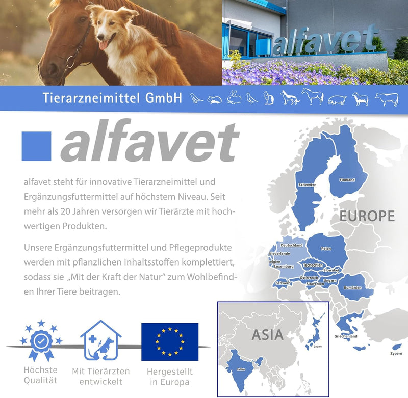 alfavet ManukaSan for dogs, cats and small animals, natural nourishing honey ointment, 15 ml - BeesActive Australia