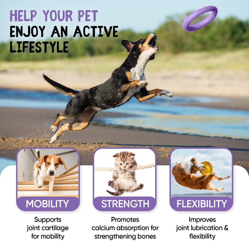 Glucosamine for Dogs & Cats With Chondroitin (1075mg) - 180 Capsules - Hip & Joint Supplement for Dogs & Cats of All Ages - With Turmeric, Ginger, Vitamin C & Rosehip - Cats & Dogs Joint Care