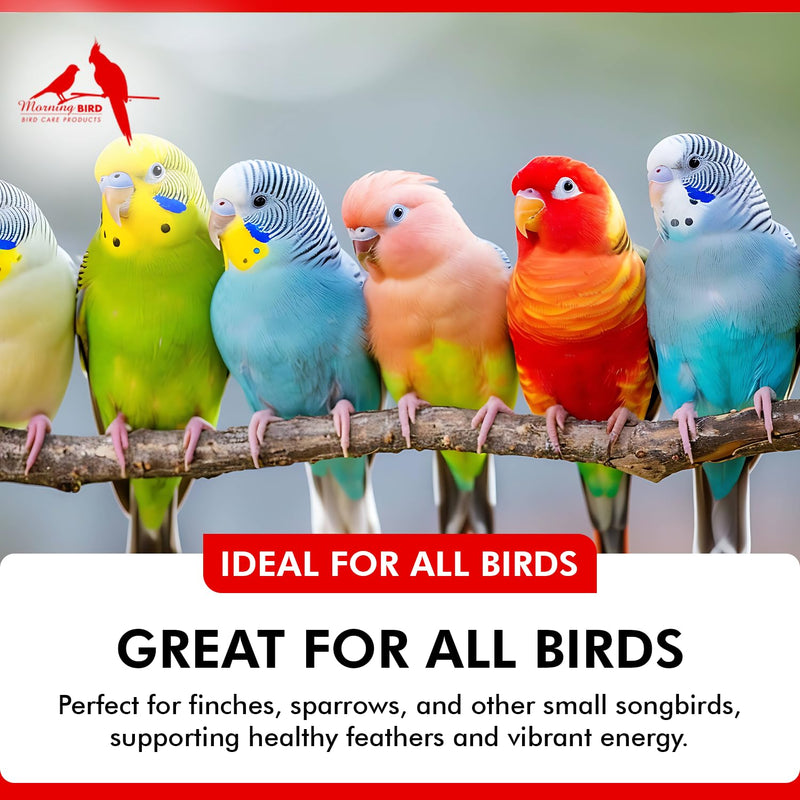 Morning Bird Liquid Iodine for Birds 4 fl oz – Iodine Mineral Supplement – Supports Feather Growth, Molting, Energy & Healthy Thyroid Function – Easy-to-Use Drops
