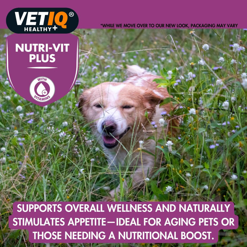 VETIQ Dog & Puppy Wellness Pack – Calming & Nutrition Support, Serene Calming Chews & Nutri-Vit Plus Paste High-Calorie Vitamin Supplement – Stress Relief & Vitality Support – From 12 wks Dog Gift Set