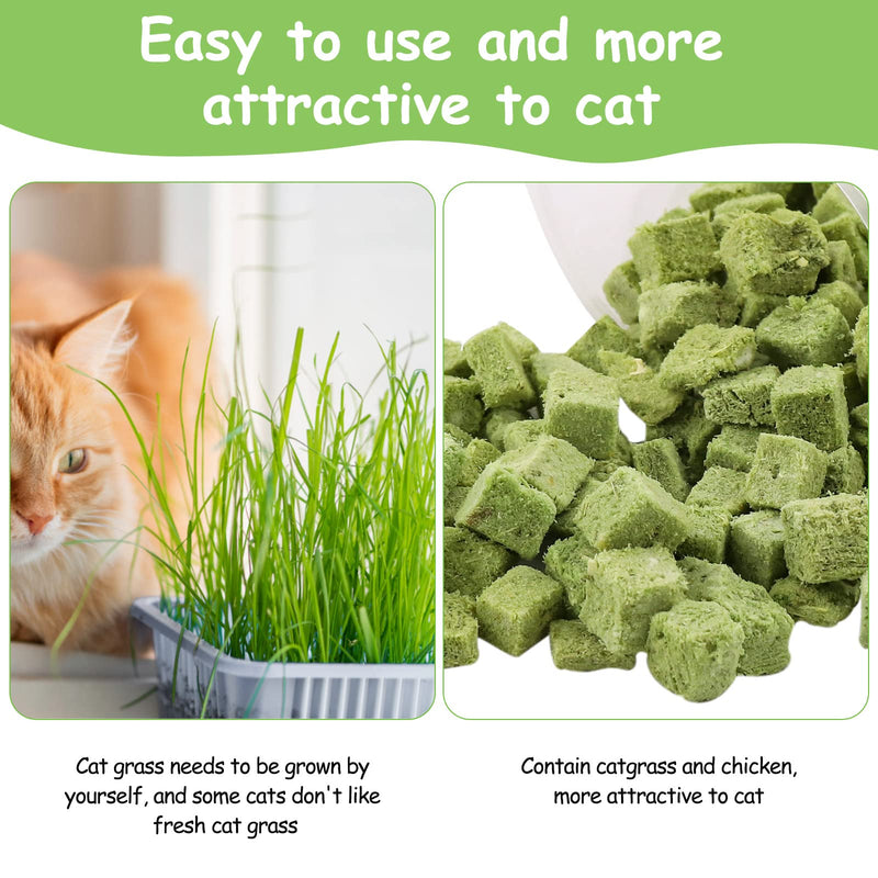 120g Cat Snacks Catnip, Freeze Dried Cat Treat for Teeth Cleaning
