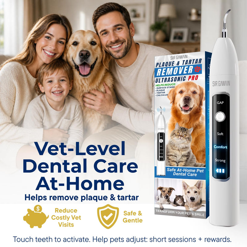 SIRGAWAIN Pet Ultrasonic Dental Cleaner — Plaque, Tartar & Stains Remover, 4 Tips, 3 Modes, LED, Contact-Activated & Smart Touch Protection, Complete Cleaning Kit for Dogs & Cats White
