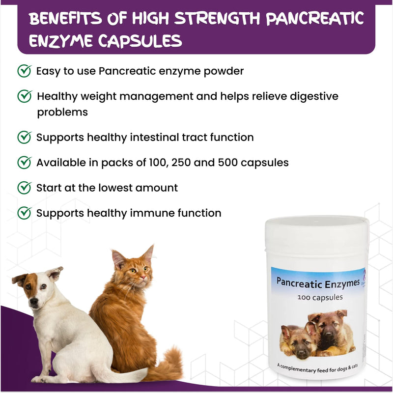 High Strength Pancreatic Enzyme Capsule for Dogs & Cats by Chemeyes - Digestive Enzyme Supplement with Amylase, Protease & Lipase - Pancreatin Supports Normal Digestion & Healthy Weight - 100 Capsules