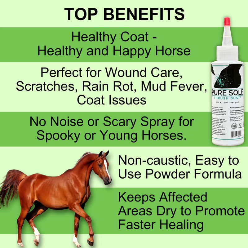 Thrush Dry Powder Treatment for Horses Thrush Dust - an All Natural Powder for Thrush Treatment 4 oz. - BeesActive Australia