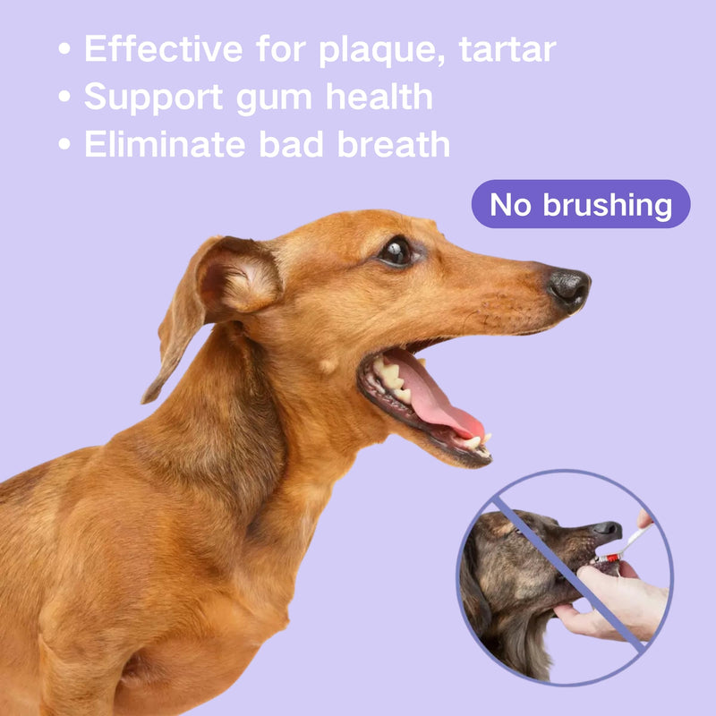 2Pcs Dental Care Spray for Dogs and Cats, Eliminate Bad Breath, Minimize Tartar and Plaque Buildup, Supports Gums Oral Health, Dental Spray with Probiotics, Fresh Breath, No Brushing(100ml)